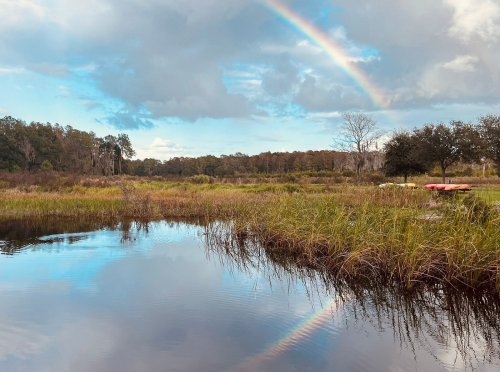 A serene landscape featuring a rainbow over a calm pond surrounded by lush greenery and trees.