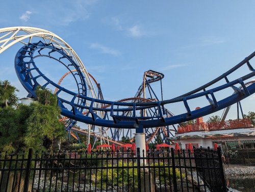 A view of roller coasters with loops and twists against a clear blue sky, surrounded by greenery and a fence.