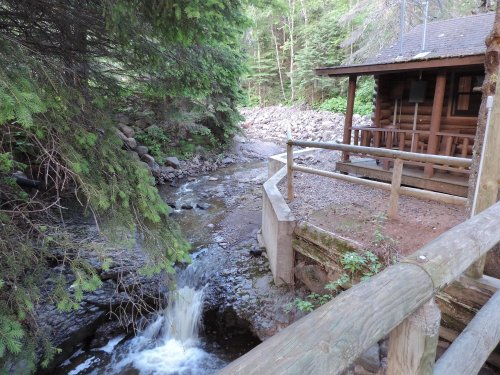 A serene forest scene featuring a small cabin by a flowing stream, surrounded by lush greenery and rocky terrain.