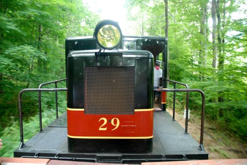 A vintage train engine numbered 29, surrounded by lush green trees, moving along a narrow track.