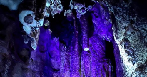 A close-up view of colorful cave formations illuminated in purple and blue light, showcasing intricate textures and shapes.