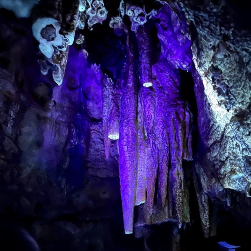 Stalactites hang from a cave ceiling, illuminated by purple light, creating a mystical atmosphere.