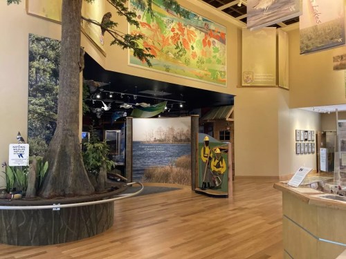 Interior of a nature center featuring a large tree, colorful murals, and informational displays about local wildlife.