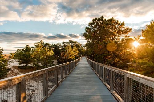 A wooden boardwalk leads through trees at sunset, with clouds and a warm glow in the sky.