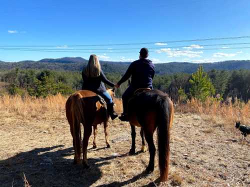 A couple on horseback holding hands, overlooking a scenic landscape with mountains and trees under a clear blue sky.