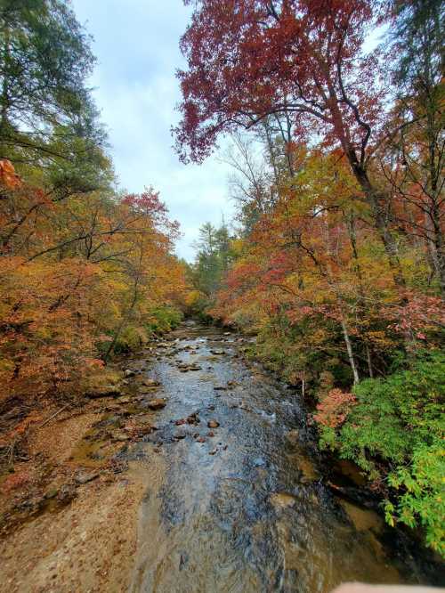 A serene river flows through a forest with vibrant autumn foliage in shades of red, orange, and yellow.