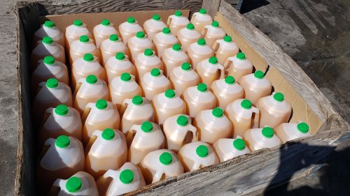 A wooden crate filled with numerous gallon jugs, each with a green cap, containing a light brown liquid.