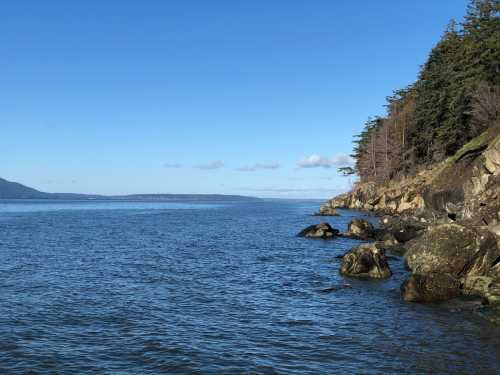 A serene coastal scene with calm water, rocky shore, and trees under a clear blue sky.