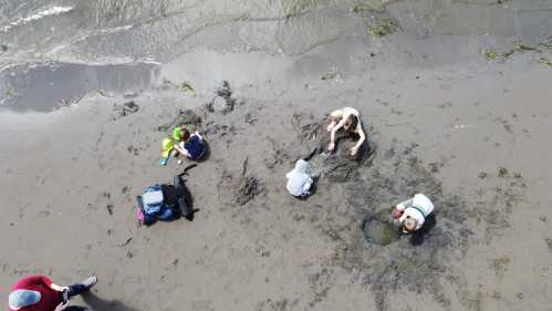 Aerial view of people digging in the sand on a beach, with bags and toys scattered around.