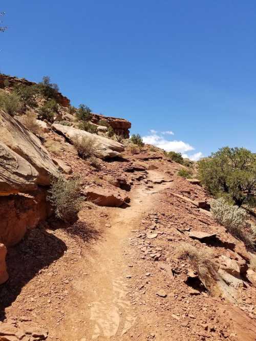 A rocky trail winds through a desert landscape under a clear blue sky, surrounded by sparse vegetation.