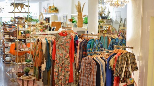 A cozy boutique filled with vintage clothing racks, plants, and eclectic decor in a bright, inviting space.