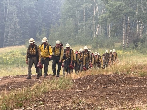 A group of firefighters in yellow gear and helmets walking along a trail in a smoky forested area.
