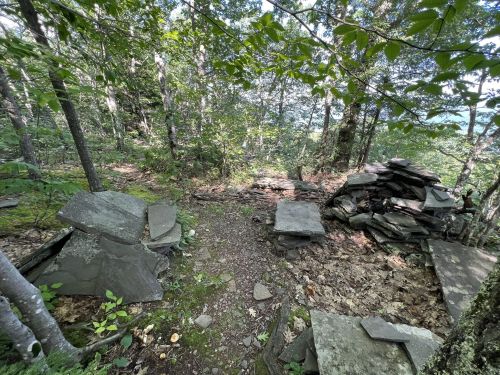 A forested area with scattered stones and a small stone structure, surrounded by trees and greenery.
