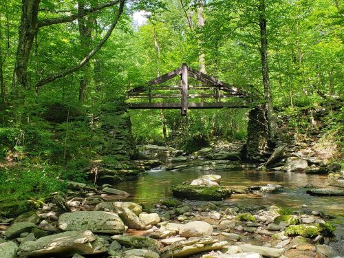 A wooden bridge spans a serene stream, surrounded by lush green trees and rocky banks in a tranquil forest setting.