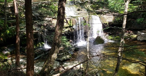 A serene waterfall cascades over rocks, surrounded by lush green trees and a calm pool of water below.