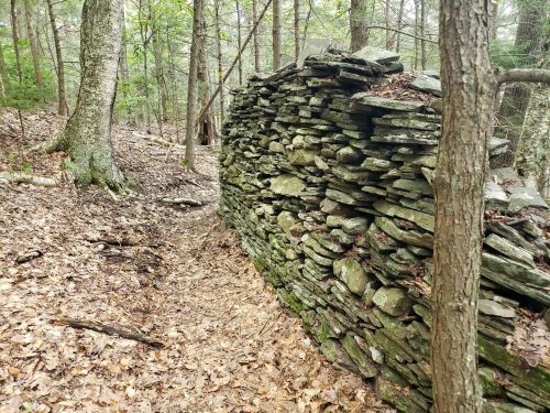 A stone wall made of stacked rocks along a forest path, surrounded by trees and fallen leaves.