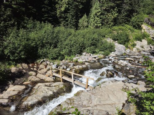 A wooden bridge crosses a rocky stream surrounded by lush green trees and shrubs in a serene natural setting.