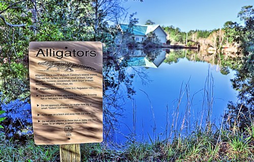 A sign about alligators near a calm water body, surrounded by trees and a building in the background.