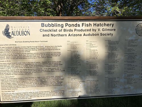 Sign at Bubbling Ponds Fish Hatchery detailing bird species and facts from the Northern Arizona Audubon Society.