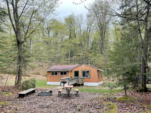 A cozy cabin surrounded by trees, with a picnic table and fire pit in the foreground, set in a serene forested area.