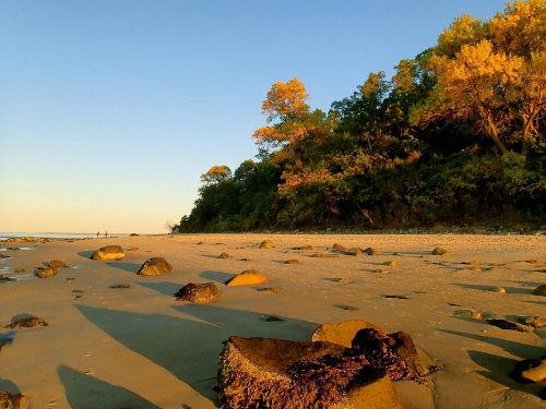 A serene beach scene with golden rocks, gentle waves, and trees in the background under a clear blue sky.