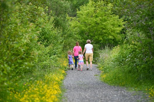 A woman and two girls walk hand in hand along a gravel path surrounded by greenery and wildflowers.