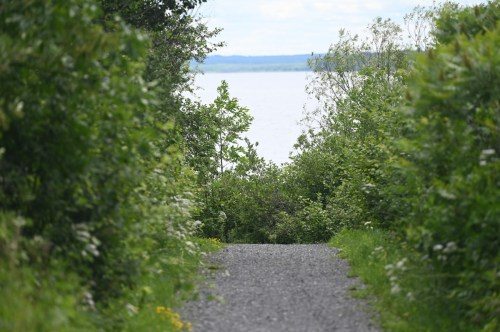 A gravel path leads through lush greenery to a serene body of water in the distance.