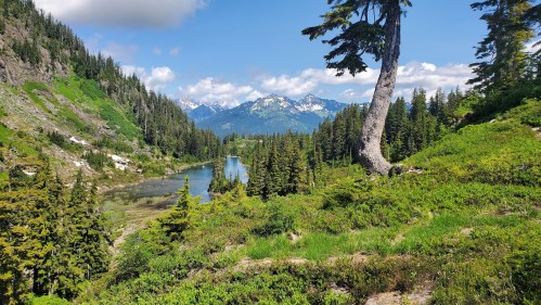 A serene landscape featuring a river surrounded by lush greenery and mountains under a clear blue sky.