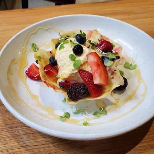 A dessert bowl with a crispy shell filled with berries, ice cream, and drizzled with honey.