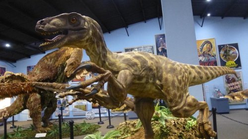 A detailed dinosaur exhibit featuring a lifelike raptor model in a museum setting.