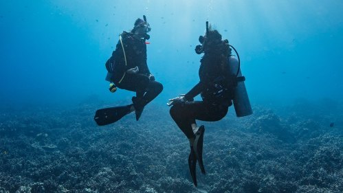 Two divers in wetsuits sit underwater, surrounded by coral and fish, with sunlight filtering through the water above.