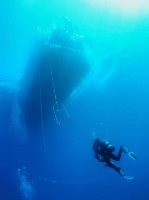 A diver explores underwater near a large boat, surrounded by blue water and bubbles.