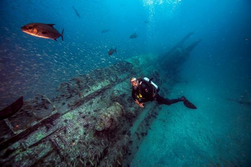 A diver explores a sunken shipwreck surrounded by schools of fish in clear blue water.