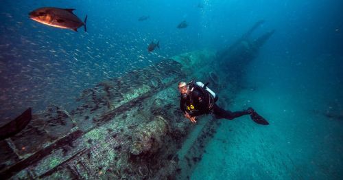 A diver explores a sunken shipwreck surrounded by schools of fish in clear blue water.
