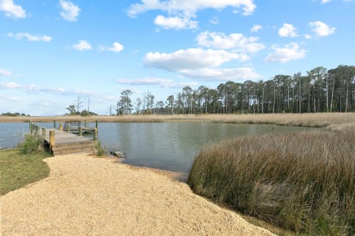 A serene lakeside view with a wooden dock, grassy shore, and tall trees under a blue sky with fluffy clouds.