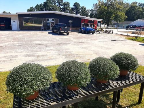 Four round green plants in pots on a black table, with a building and parked cars in the background.