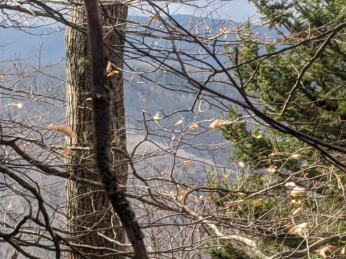 A view of a mountainous landscape through bare branches and evergreen trees, with distant hills in the background.