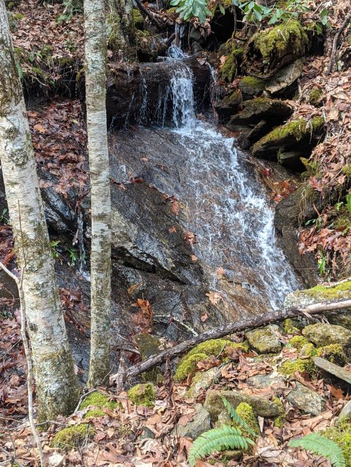 A small waterfall cascades over rocky terrain, surrounded by autumn leaves and trees in a forested area.