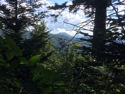 A scenic view of mountains framed by lush green trees and foliage under a partly cloudy sky.