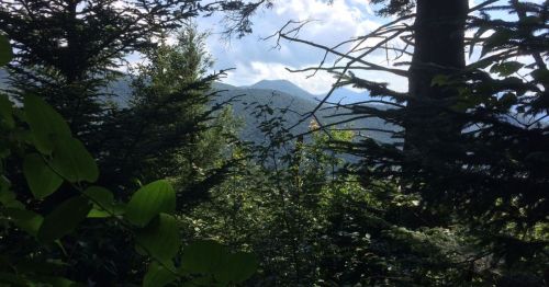 A scenic view of mountains through dense trees, with a partly cloudy sky in the background.