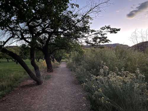 A serene dirt path lined with trees and shrubs, leading through a peaceful landscape at dusk.