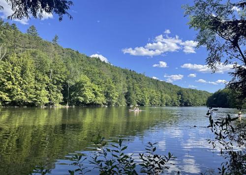 A serene lake surrounded by lush green trees under a bright blue sky with fluffy clouds.