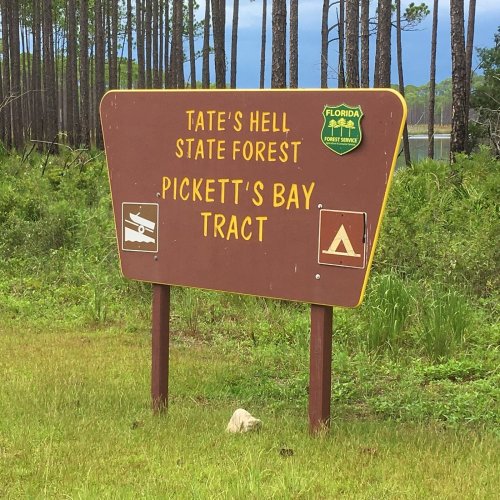 Sign for Tate's Hell State Forest, Pickett's Bay Tract, featuring icons for camping and a vehicle.