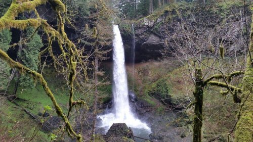 A tall waterfall cascades down rocky cliffs, surrounded by lush greenery and moss-covered trees.