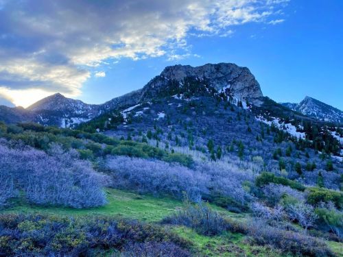 A scenic mountain landscape with rocky peaks, lush greenery, and a colorful sky at sunset.