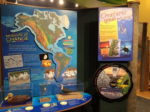 Exhibit display featuring a map of North America, wildlife models, and information on seasonal changes and ecosystems.