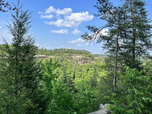 A scenic view of lush green trees and cliffs under a blue sky with fluffy clouds.