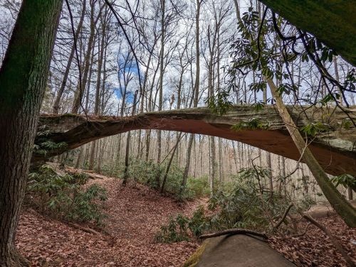 A natural stone arch bridge surrounded by trees and underbrush, with a cloudy sky visible above.