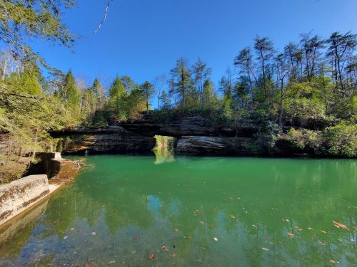 A serene green lake surrounded by lush trees and rocky cliffs under a clear blue sky.