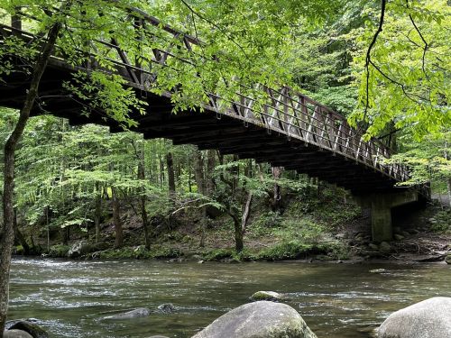 A wooden bridge spans a serene river, surrounded by lush green trees and rocky banks.